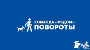 Команда ждать. Как научить собачку этой команде ?