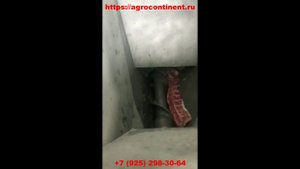 Пресс механическая обвалка мяса свинины, хребтов и рёбер