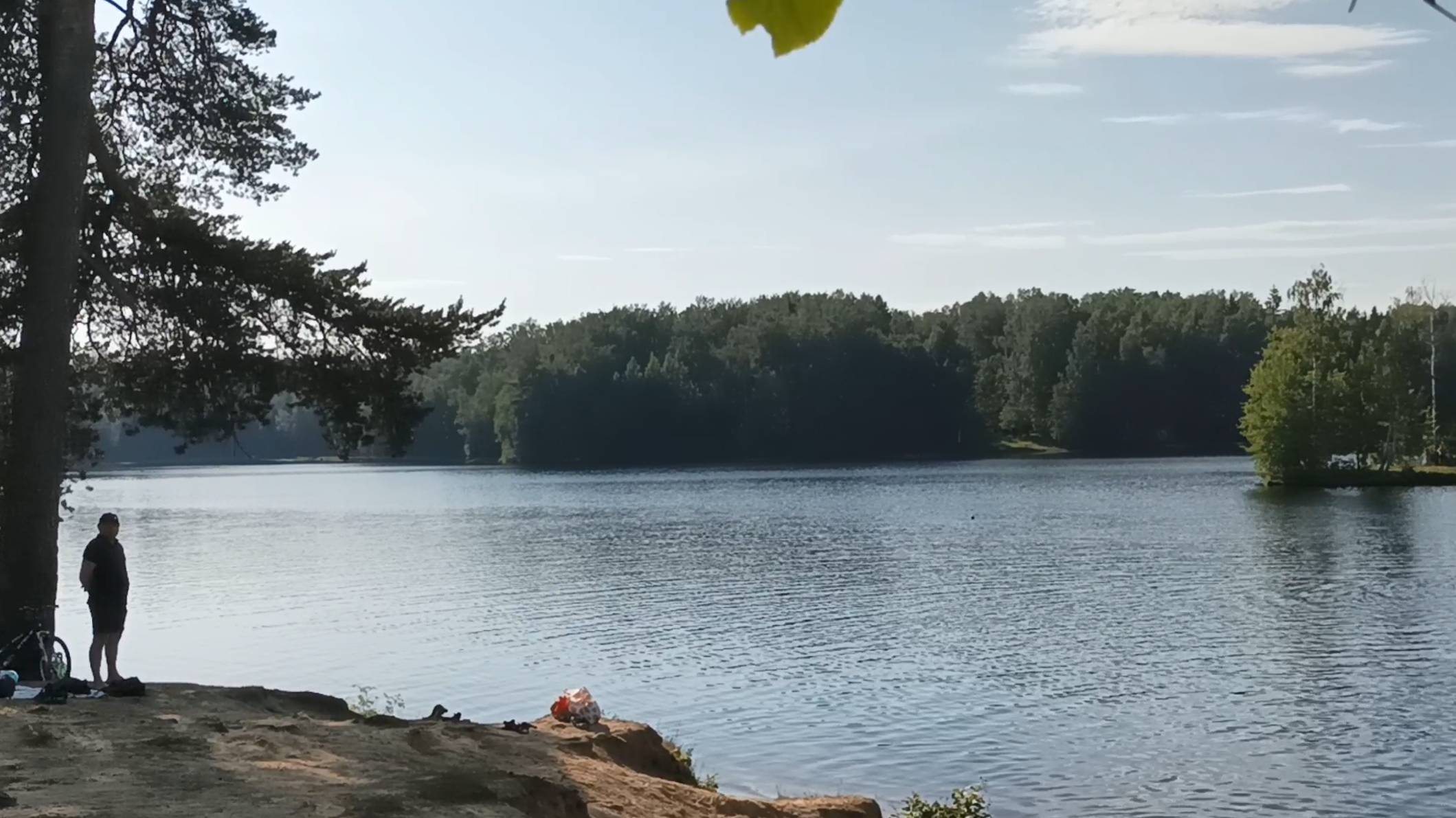 Осиновая роща смотреть онлайн