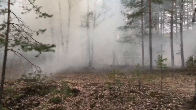 Экологи,любители природы!