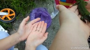 Отпускаем ящерку!