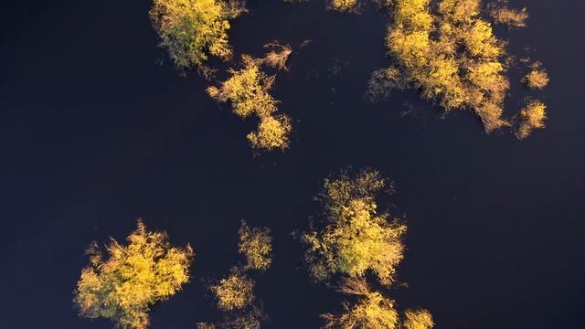 Подвязье. Усадьба Приклонских-Рукавишниковых смотреть онлайн