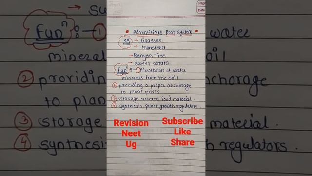 Adventitious root system of example and function || biology ||