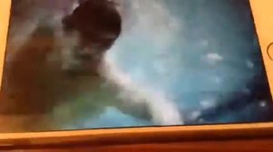 Chad Le Clos Rio 2016 preparations