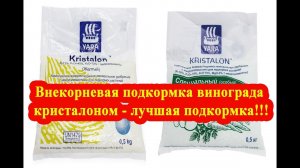Внекорневая подкормка винограда кристалоном - лучшая подкормка!!!