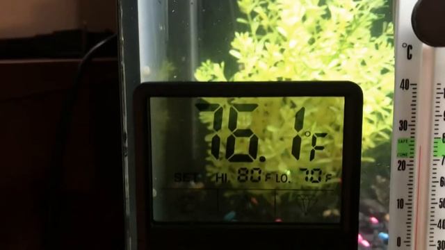 Comparing some aquarium thermometers - Outside Digital Thermometers and Internal Mercury Scale type