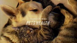 ЗДОРОВЬЕ И БЕЗОПАСНОСТЬ ВАШЕГО ДОМАШНЕГО ЖИВОТНОГО_ЖИВОТНЫХ 🐾 Саблиминал