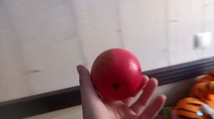 как приручить снюсоеда 3 мя способами