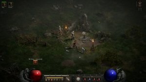 ЗАПЛЕСНЕВЕЛЫЙ ФОЛИАНТ В ИГРЕ DIABLO II RESURRECTED