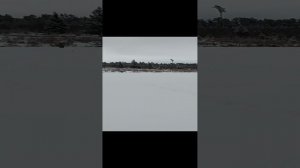 13-12-2024