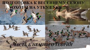 Подготовка к весеннему сезону охоты на утку и гуся (Часть 1. Немного теории)