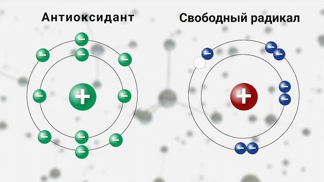 Life Water — источник вашего крепкого здоровья