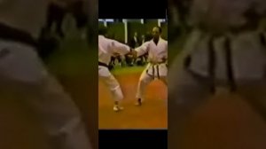 Хироказу Канадзава Сэнсэй.mp4