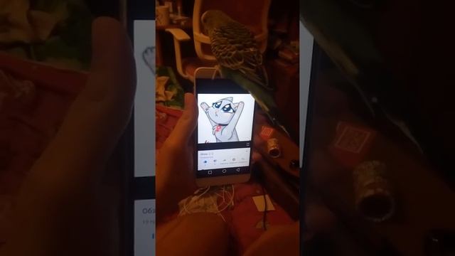 Мой попугай любит мои телефоны😂😂😂 смотреть онлайн