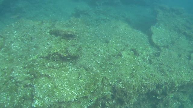 Черногория Будва Beach Mogren под водой #14 смотреть онлайн