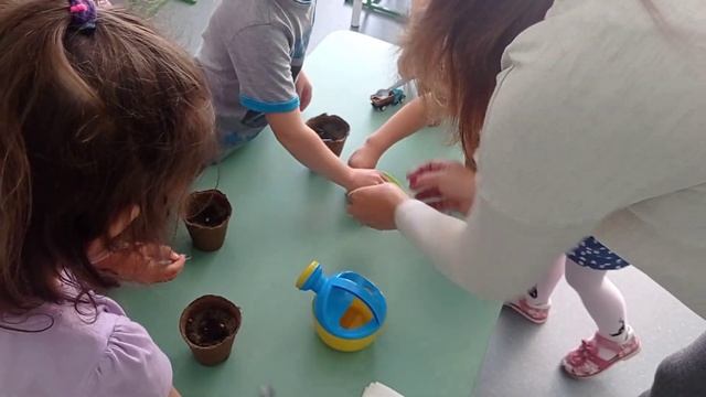 VID 20201005 112110 смотреть онлайн