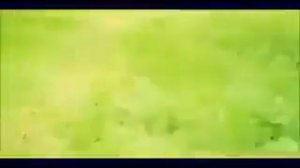 Чалаб кизлар