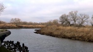 СЕЗОН ВЕСЕННЕЙ ОХОТЫ 2023! ЧАСТЬ 1. УТИНАЯ РАЗВЕДКА!