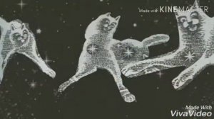 Песня ,,ГИМН КОТОВ-ВОИТЕЛЕЙ"