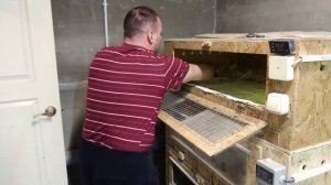 КОРМ и ТЕМПЕРАТУРА В БРУДЕРЕ ПОДГОТОВКА К НОВОСЕЛЬЮ