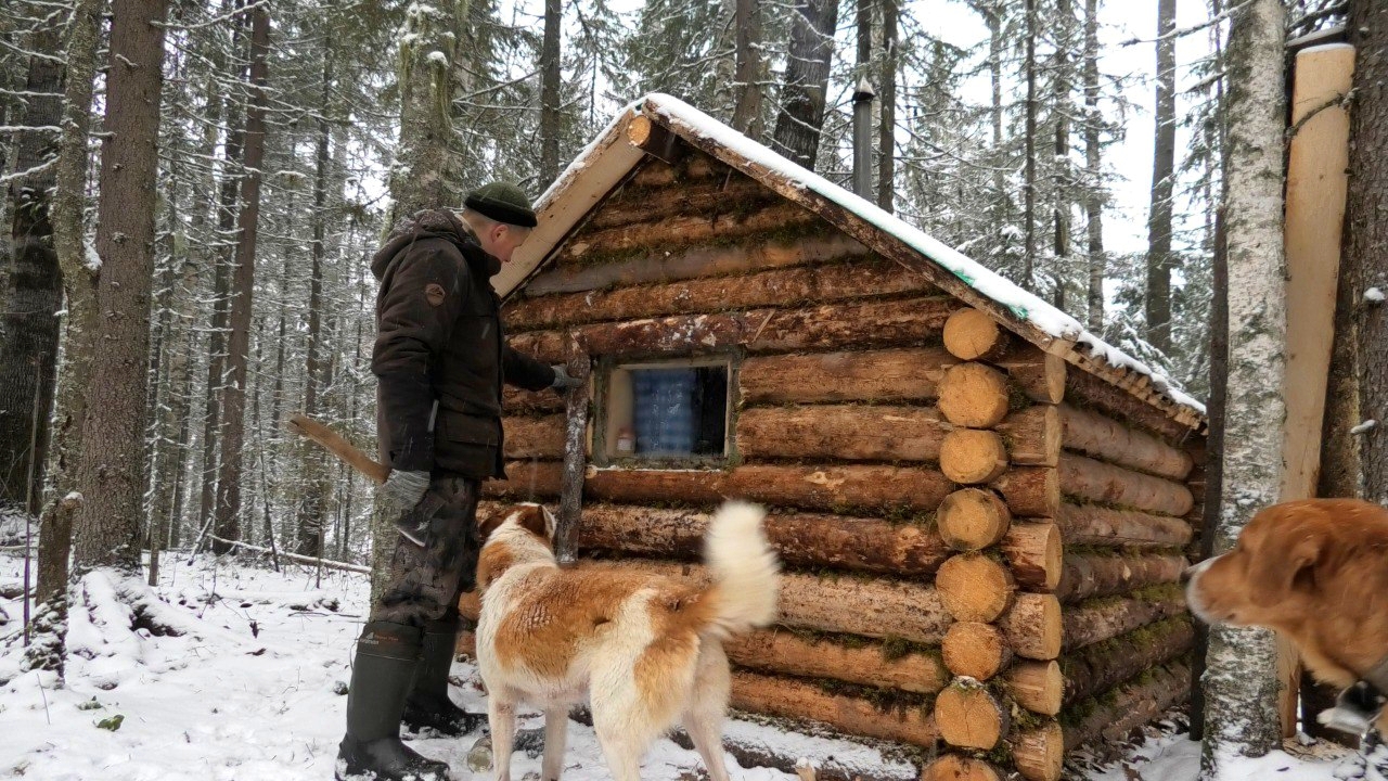 СПАС ЕГО ОТ ВОЛКОВ! ПОХОД В ТАЙГУ, ПОСЛЕ ЭТОГО ИЗБА ПРЕОБРАЗИЛАСЬ.