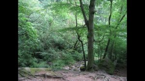 Музыка. Поющая чаша. Мантра у ручья. Для медитации и расслабления.