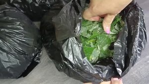 ФЕРМЕНТАЦИЯ ЛИСТА ЛОПУХА В МОРОЗИЛЬНОЙ КАМЕРЕ.ПОЧЕМУ ОДУВАНЧИК ПРИ СУШКИ ПРЕВРАЩАЕТСЯ В ПУХ.