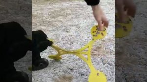 Гонг из брони д200, толщина 14мм