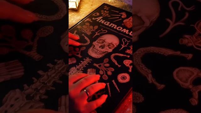 ✨ Смотрим книгу #Анатомикум ✨ #asmr #асмр #близкийшепот #неразборчивый #книги смотреть онлайн