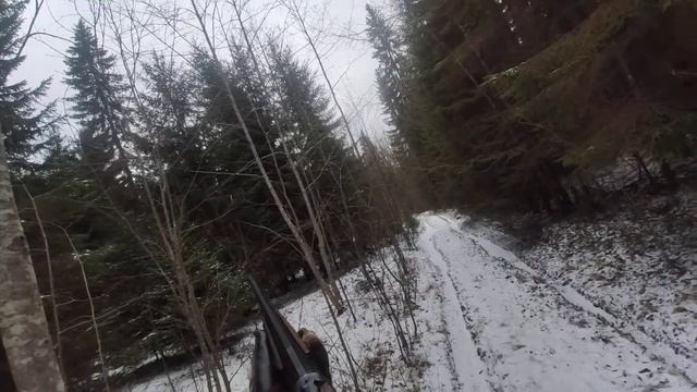 Охота на рябчика с собакой