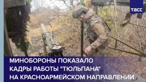 Минобороны показало кадры работы "Тюльпана" на красноармейском направлении