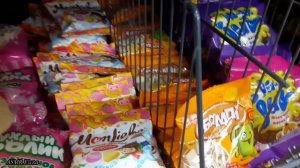 ASMR/РАСКЛАДЫВАЮ ТОВАРЫ В МАГАЗИНЕ ФИКС ПРАЙС/КОСМЕТИКА И ВКУСНЯШКИ/ШУРШИМ ПАКЕТИКАМИ/МЯГКИЙ ГОЛОС