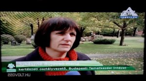 Samsung DVB-T tuning