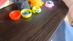 Распаковка новых двух сквиш собачек!