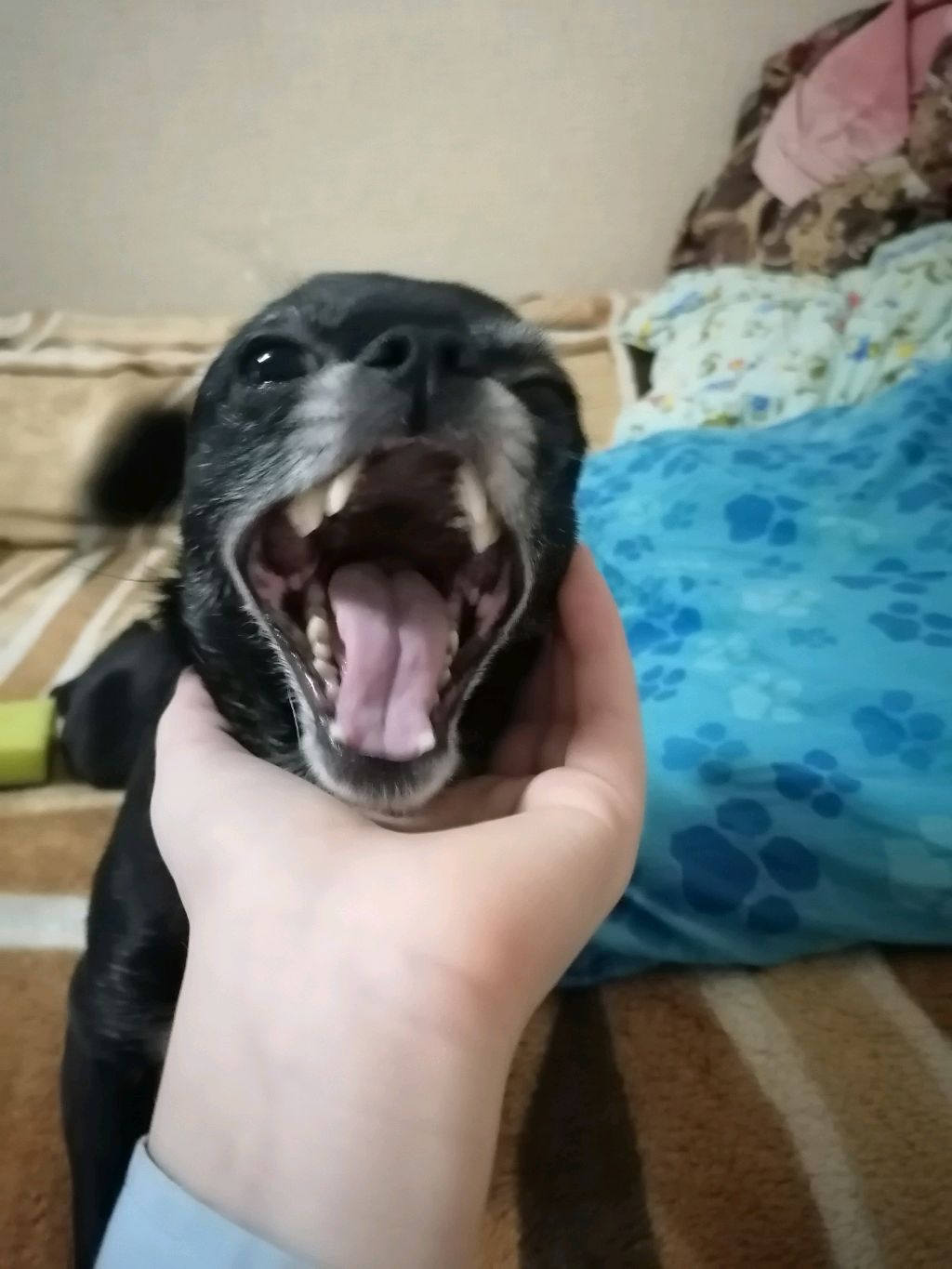 душевное и болтание.
