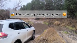Ноябрьские лужи