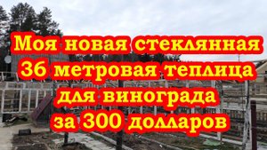 Моя новая стеклянная 36 метровая теплица для винограда за 300 долларов