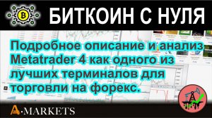 Подробное описание и анализ Metatrader 4 как одного из лучших терминалов для торговли на форекс.