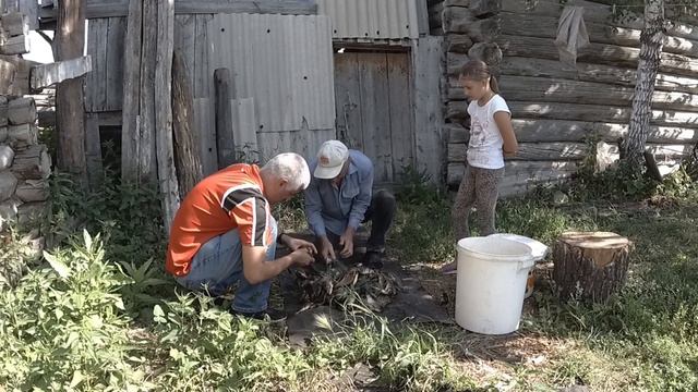 Заброшеные деревни. Антошкино. Продолжение.