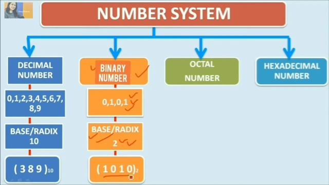 CBSE class 7 ICT || computer science ||number system introduction || kips || cyber beans || it bean