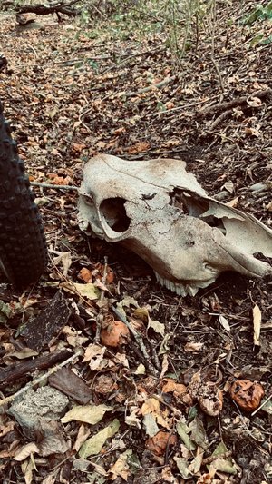 Из дома на работу под Deep Purple