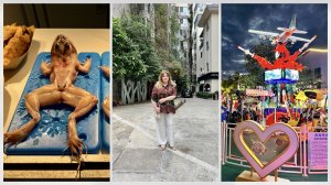 #6 В Дадунхай некогда скучать! Вечерняя жизнь, рестораны, магазины и шопинг. Хайнань, ноябрь 2024