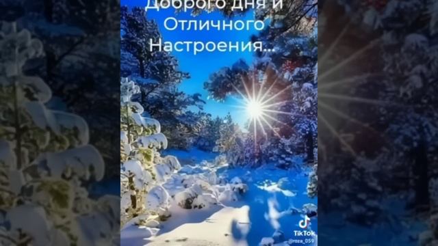 ЕГОР ТРОФИМОВ - "Утренний кофе" (TikTok Video)