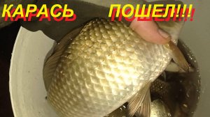 На Смоленском пошёл карась.mp4