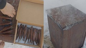 Копчение рыбы (Окунь) зимой первый опыт