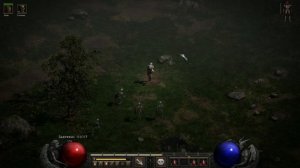 ЧЕРНАЯ ТОПЬ (BLACK MARSH) В ИГРЕ DIABLO II RESURRECTED