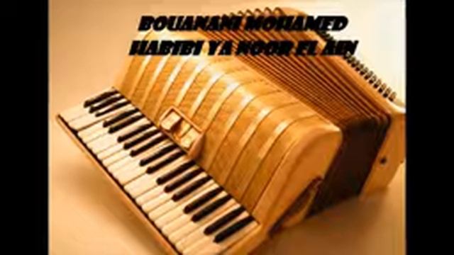 BOUANANI MOHAMED " Solo Accordion habibi ya noor el ain amr diab" смотреть онлайн