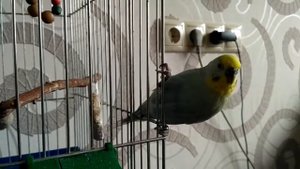 Артурчик