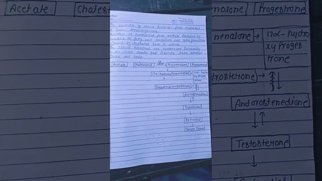 Biosynthesis of steroid hormone msc 3 sem notes #notes #zoologynotes #zoology