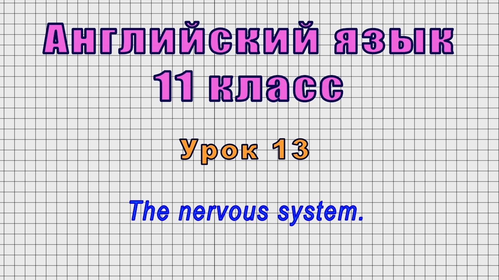 Английский язык 11 класс (Урок№13 - The nervous system.)